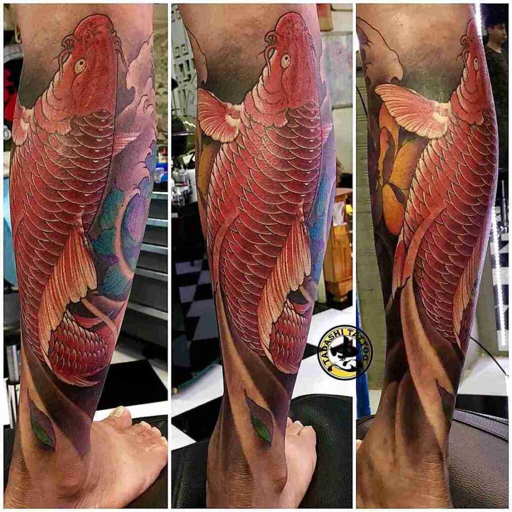 What Is the Significance of Red Koi Fish Tattoo?